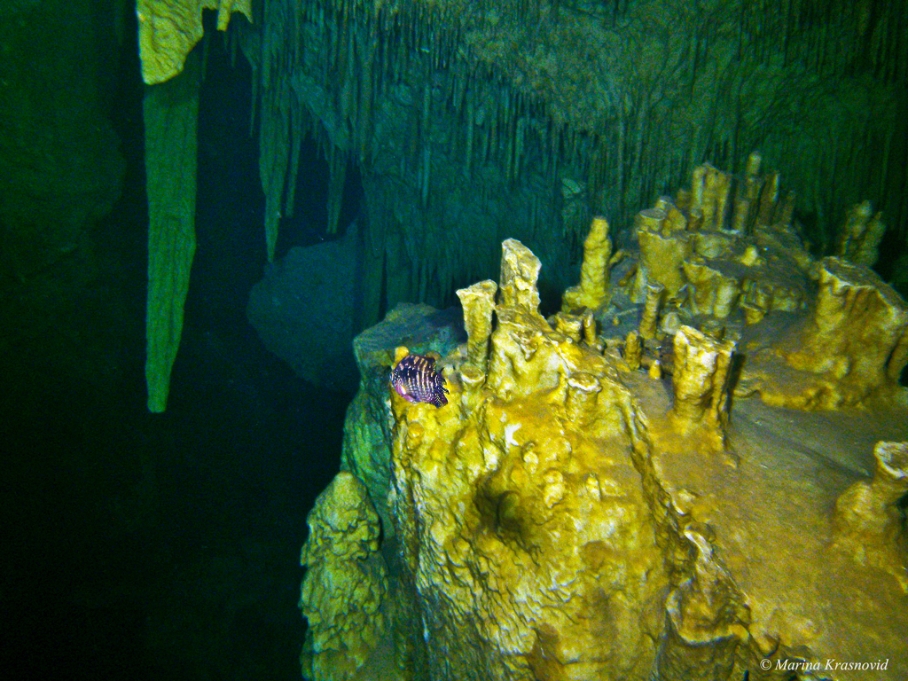 Caves at Chacmool Cenote