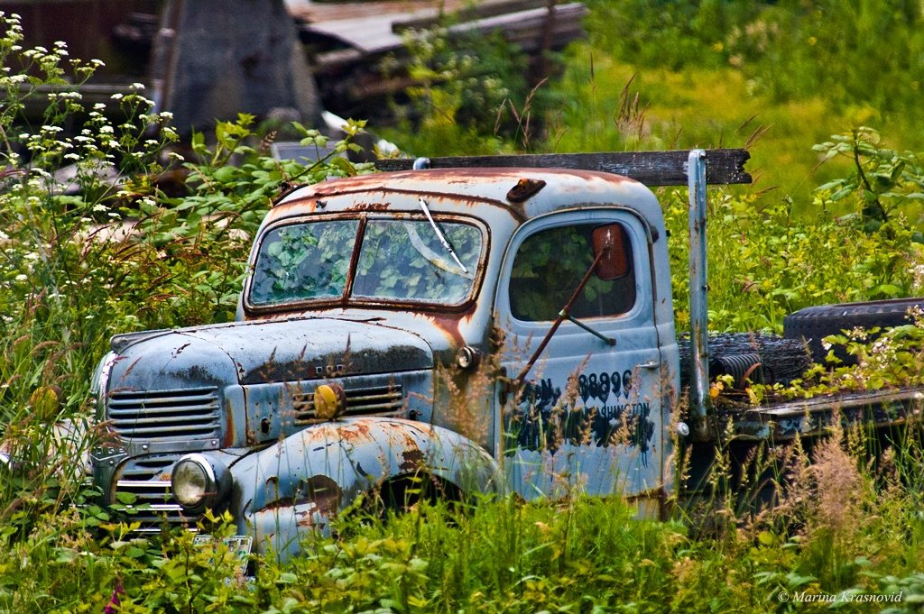 Old Dodge truck