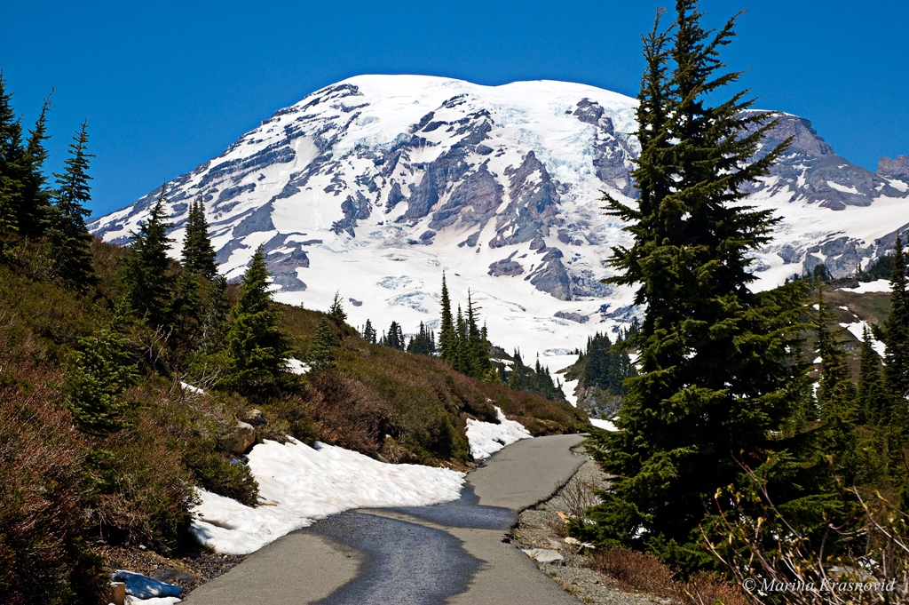 Trail to Mount Rainier, Washington