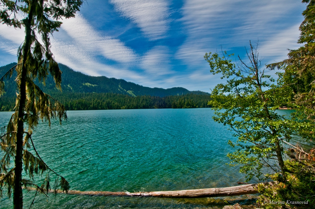 Packwood Lake, Washington