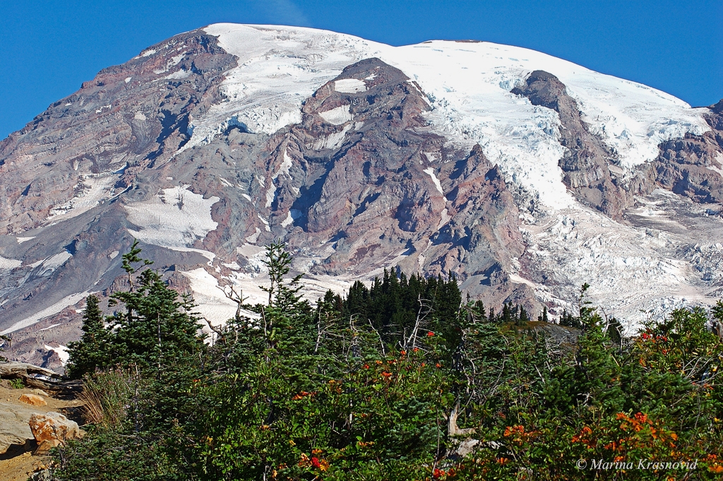 Mount Rainier Paradise, Washington