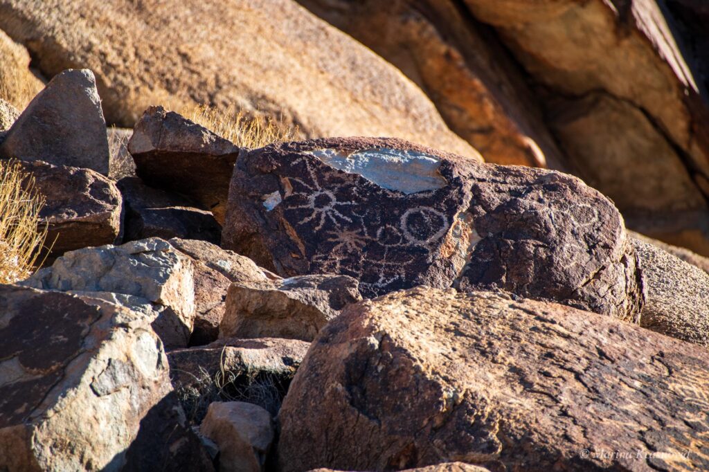 Sun-like and circular petroglyph designs etched on dark boulder among desert rocks at Grapevine Canyon, Spirit Mountain Nevada
