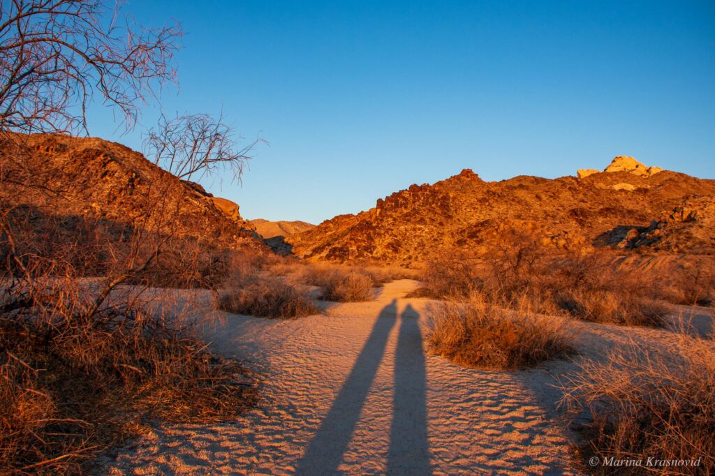 Grapevine Canyon Nevada at sunrise - desert trail and long shadows