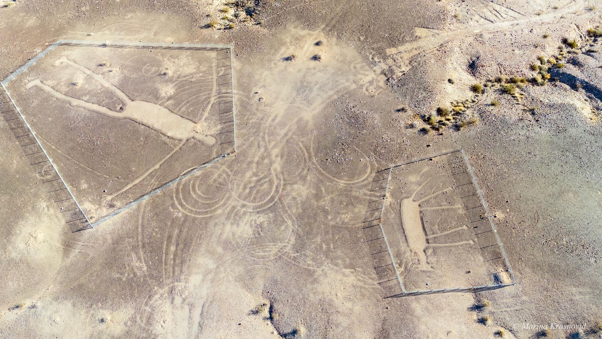 Wide aerial drone photograph of the Blythe Intaglios site in the Colorado Desert, California, showing two large geoglyphs — one human figure and one animal figure — outlined on the desert floor and surrounded by protective fences. Photographed by Marina Krasnovid.