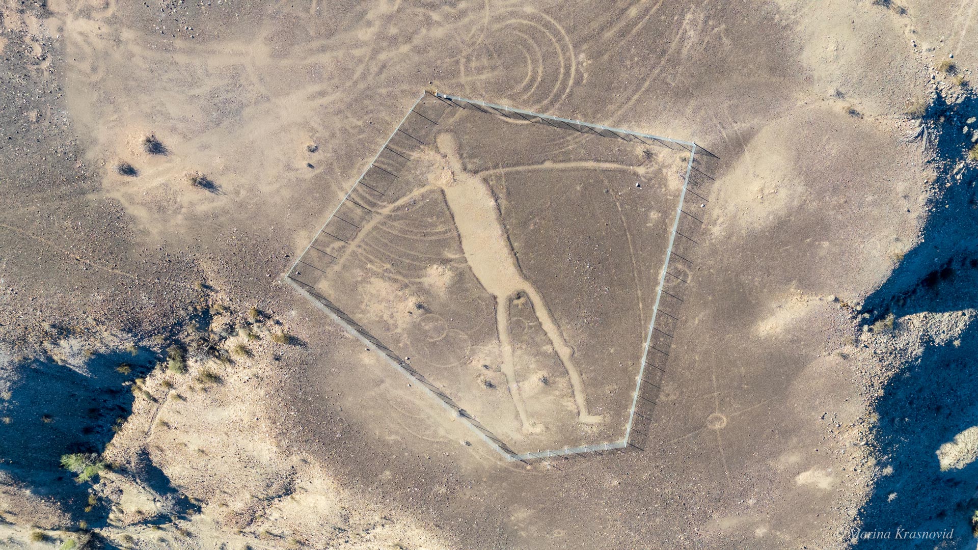 Aerial drone view of a large human-shaped Blythe Intaglio geoglyph in the Colorado Desert near Blythe, California, featuring circular lines and a protective fence. Photographed by Marina Krasnovid.