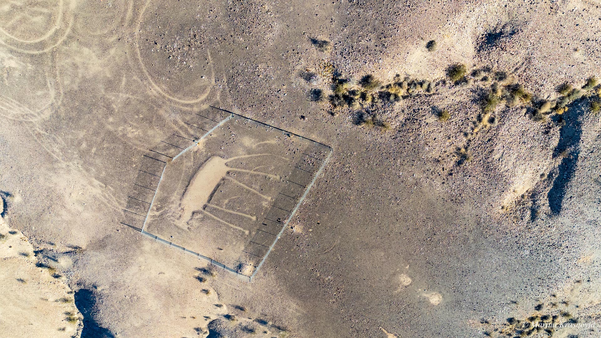 Aerial drone image of the Blythe Intaglios geoglyph depicting an animal figure in the Colorado Desert near Blythe, California. The prehistoric design, outlined on the desert floor and protected by a fence, was photographed by Marina Krasnovid.