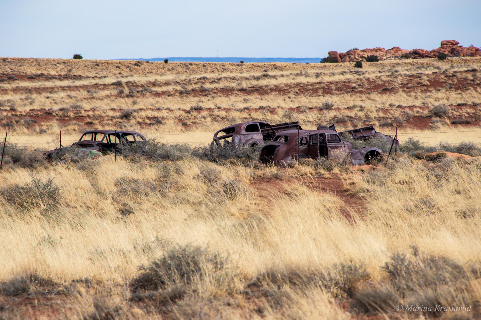 Abandoned vintage cars rusting in the high desert grass along the road leading to Meteor Crater in northern Arizona.